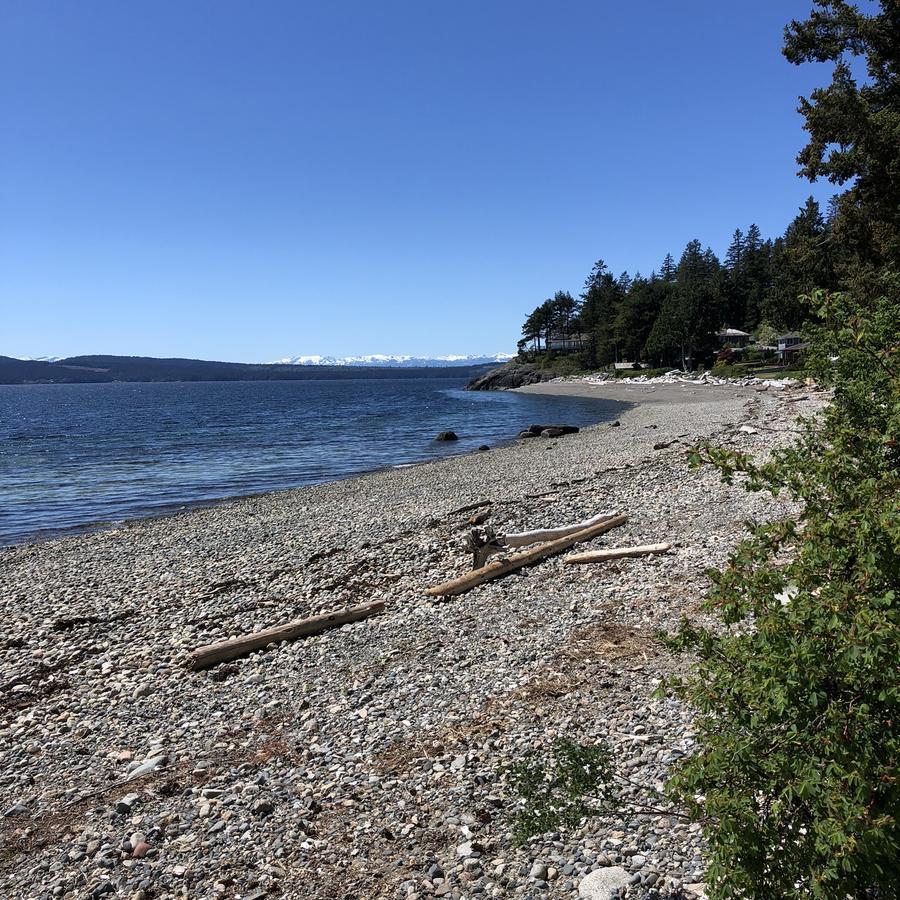 Ferienwohnung StudioOne Pebble Beach Powell River Exterior foto