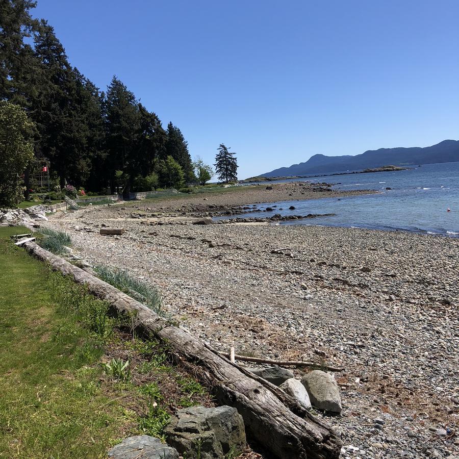 Ferienwohnung StudioOne Pebble Beach Powell River Exterior foto